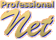 Professional Net. Web agency